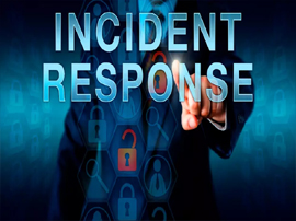 Marghana Journal Publication